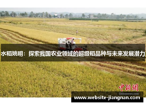 水稻姚明：探索我国农业领域的超级稻品种与未来发展潜力